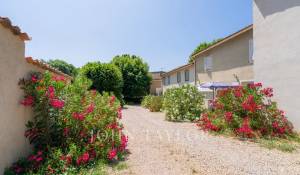 Vente Propriété RIEZ