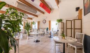 Vente Propriété Sainte-Terre