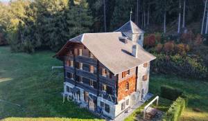 Vente Propriété Sion