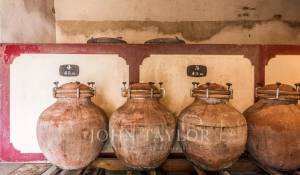 Vente Propriété viticole Bordeaux