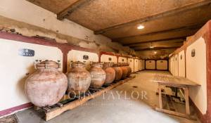 Vente Propriété viticole Bordeaux