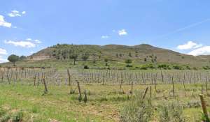 Vente Propriété viticole Cuenca