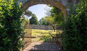Vente Propriété viticole Firenze