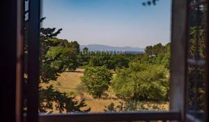 Vente Propriété viticole L'Isle-sur-la-Sorgue