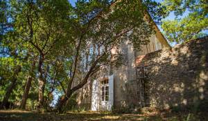 Vente Propriété viticole L'Isle-sur-la-Sorgue