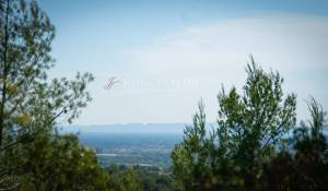 Vente Propriété viticole L'Isle-sur-la-Sorgue