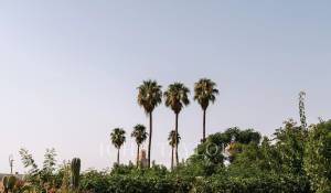 Vente Riad Marrakech