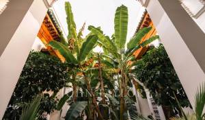Vente Riad Marrakech