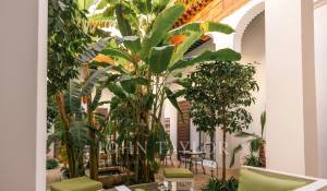 Vente Riad Marrakech