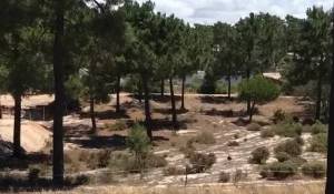 Vente Terrain 