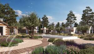 Vente Terrain 