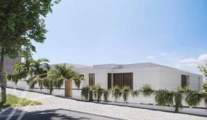 Vente Terrain Belém
