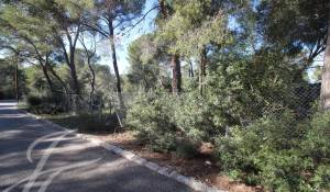 Vente Terrain Cala Vinyes