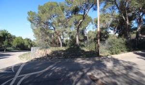 Vente Terrain Cala Vinyes