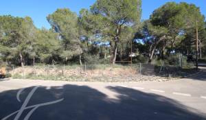 Vente Terrain Cala Vinyes