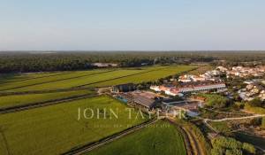 Vente Terrain Carvalhal