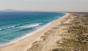 Vente Terrain Carvalhal