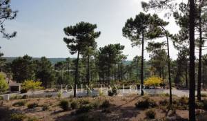 Vente Terrain Carvalhal