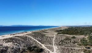 Vente Terrain Carvalhal