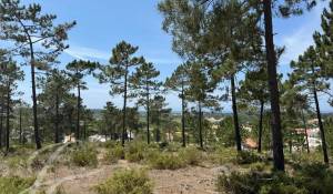 Vente Terrain Carvalhal
