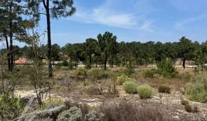 Vente Terrain Carvalhal