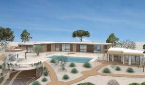 Vente Terrain Carvalhal