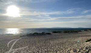 Vente Terrain Carvalhal