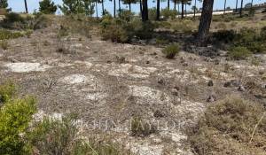 Vente Terrain Carvalhal