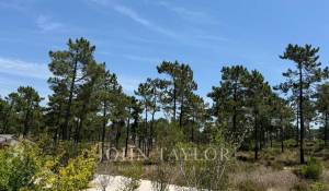 Vente Terrain Carvalhal