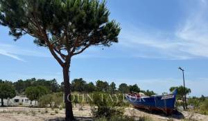 Vente Terrain Carvalhal