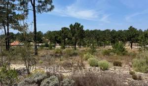 Vente Terrain Carvalhal