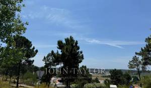 Vente Terrain Carvalhal