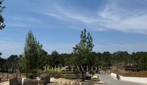 Vente Terrain Carvalhal
