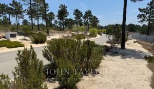 Vente Terrain Carvalhal
