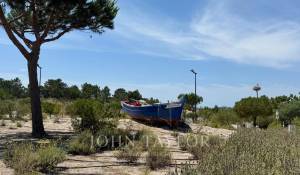 Vente Terrain Carvalhal