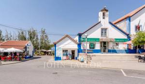 Vente Terrain Carvalhal