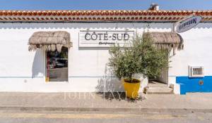 Vente Terrain Carvalhal