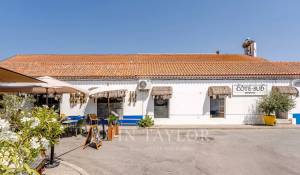 Vente Terrain Carvalhal