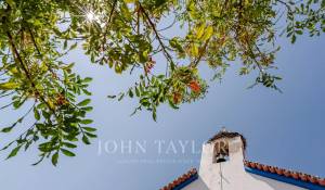 Vente Terrain Carvalhal