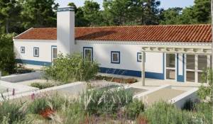 Vente Terrain Carvalhal