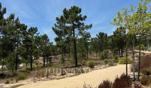 Vente Terrain Carvalhal
