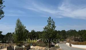 Vente Terrain Carvalhal