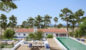 Vente Terrain Carvalhal