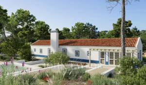 Vente Terrain Carvalhal