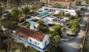 Vente Terrain Carvalhal