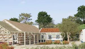 Vente Terrain Carvalhal