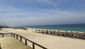 Vente Terrain Carvalhal