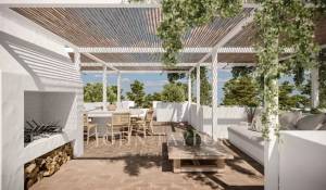 Vente Terrain Carvalhal