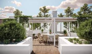 Vente Terrain Carvalhal