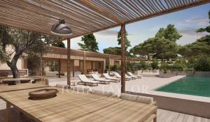 Vente Terrain Carvalhal